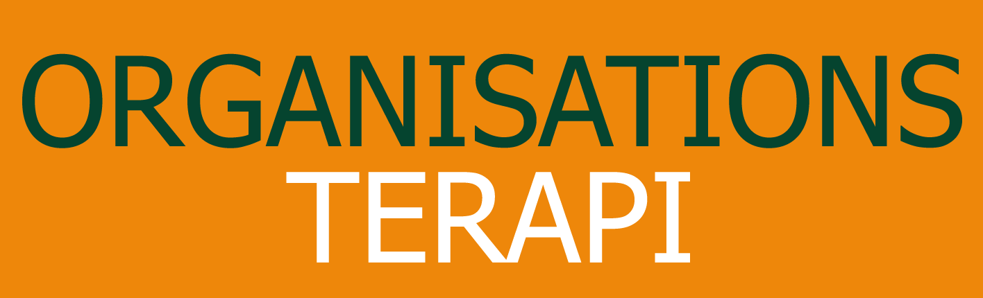 Organisationsterapi